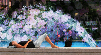 Flowers Splash
