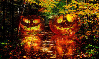 Halloween Scary Wood 1