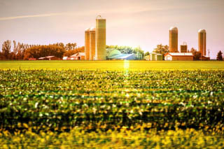 Modern Farmland and Agriculture Real Estate