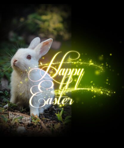 Cute Happy Easter Bunny - Cool and Inspiring Royalty-Free Stock Images and Animations at Budget Price
