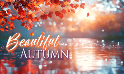Beautiful Autumn - Pond and Leaves at Fall